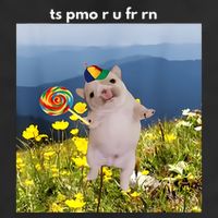 Silly Dog With Lollipop Meme Gen Z Brainrot Slang Meme Golf Towel