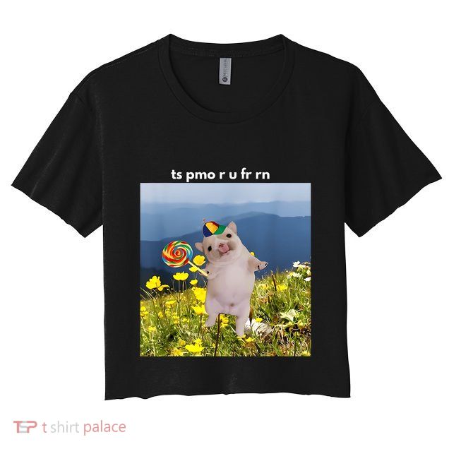 Silly Dog With Lollipop Meme Gen Z Brainrot Slang Meme Crop Top