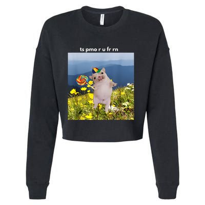 Silly Dog With Lollipop Meme Gen Z Brainrot Slang Meme Cropped Pullover Crew