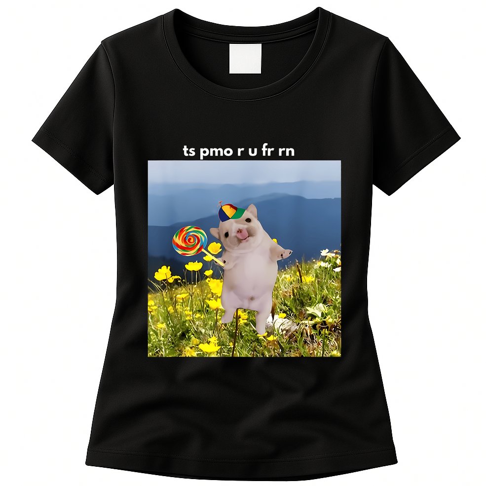 Silly Dog With Lollipop Meme Gen Z Brainrot Slang Meme Womens T-Shirt