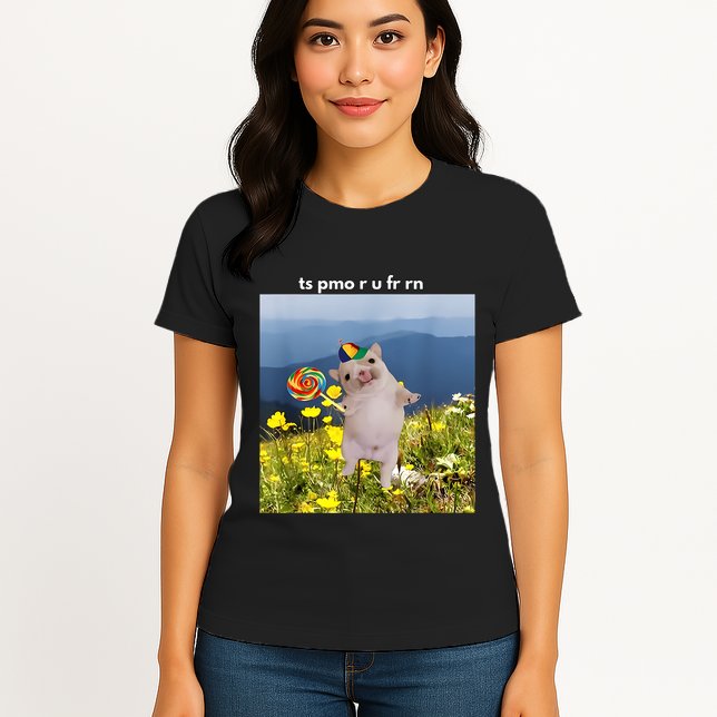 Silly Dog With Lollipop Meme Gen Z Brainrot Slang Meme Womens T-Shirt