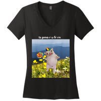 Silly Dog With Lollipop Meme Gen Z Brainrot Slang Meme Women's V-Neck T-Shirt