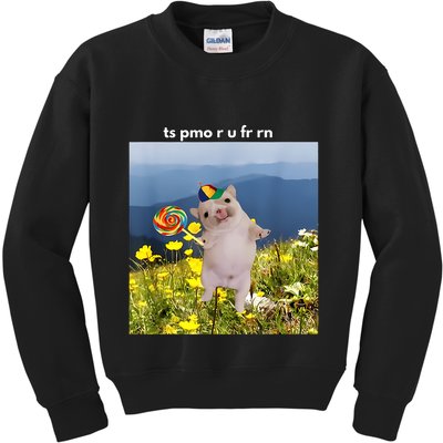 Silly Dog With Lollipop Meme Gen Z Brainrot Slang Meme Kids Sweatshirt