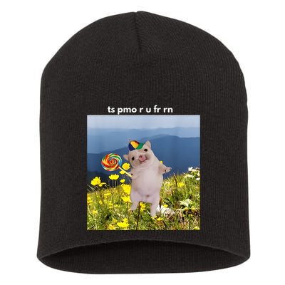 Silly Dog With Lollipop Meme Gen Z Brainrot Slang Meme Short Acrylic Beanie