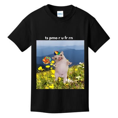 Silly Dog With Lollipop Meme Gen Z Brainrot Slang Meme Kids T-Shirt