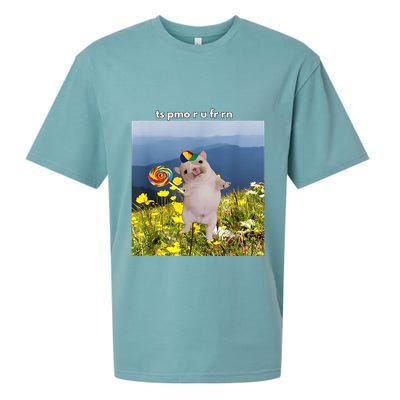 Silly Dog With Lollipop Meme Gen Z Brainrot Slang Meme Sueded Cloud Jersey T-Shirt