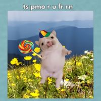 Silly Dog With Lollipop Meme Gen Z Brainrot Slang Meme Sueded Cloud Jersey T-Shirt