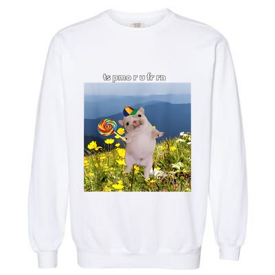 Silly Dog With Lollipop Meme Gen Z Brainrot Slang Meme Garment-Dyed Sweatshirt