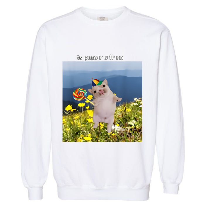Silly Dog With Lollipop Meme Gen Z Brainrot Slang Meme Garment-Dyed Sweatshirt