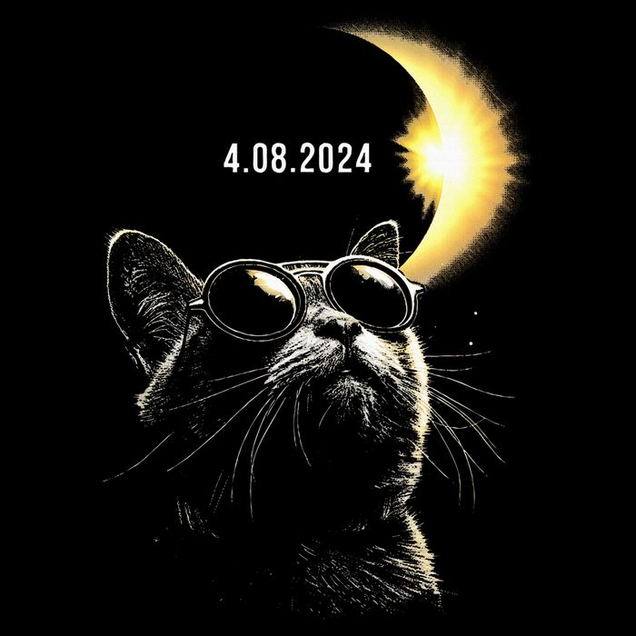 Solar Eclipse 2024 Total Eclipse April 8th 2024 Cat Wool Snapback Cap