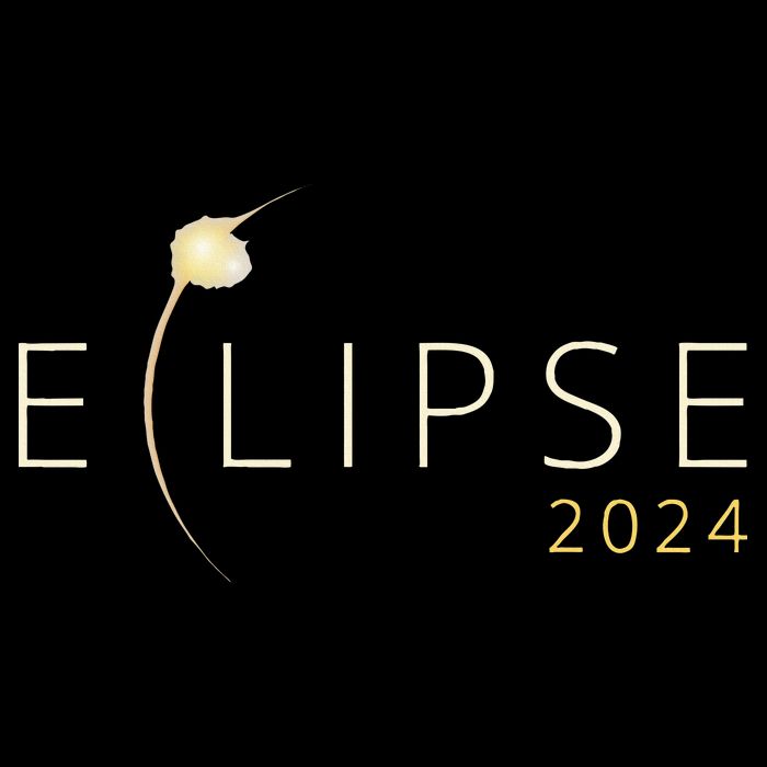 Solar Eclipse 2024 Total Solar Eclipse 4.08.24 Toddler T-Shirt