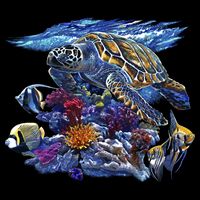 Sea Turtle Life Womens Tank Top
