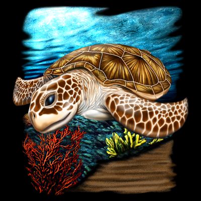 Sea Turtle Ocean T-Shirt