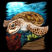 Sea Turtle Ocean Sustainable Bucket Hat