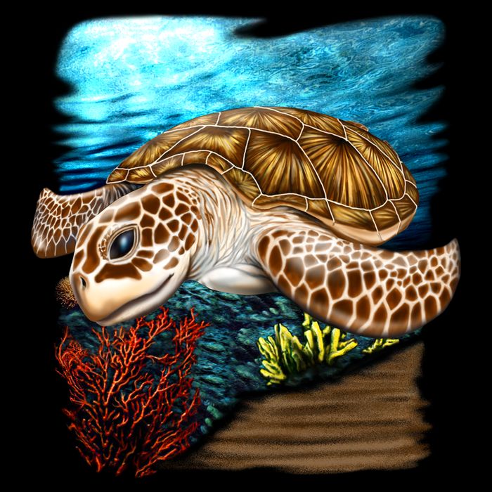 Sea Turtle Ocean Sustainable Bucket Hat