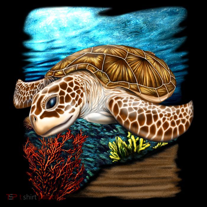 Sea Turtle Ocean 16 in Basic Backpack