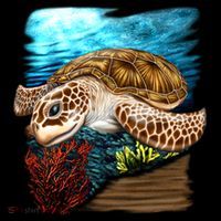 Sea Turtle Ocean Premium T-Shirt