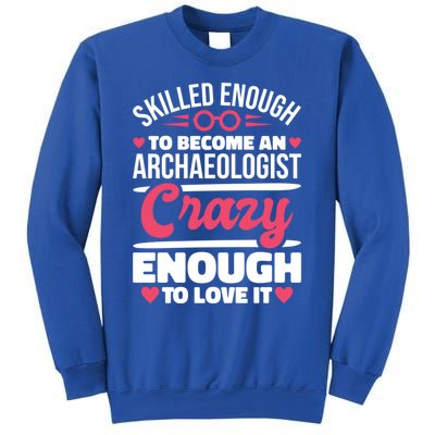 Skilled Enough Archaeologist And Archaeology Lover Gift Sweatshirt