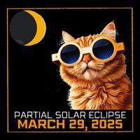 Solar Eclipse Cat 2025 Partial Solar Eclipse 03.29.25 Toddler T-Shirt