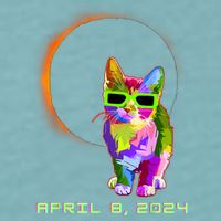 Solar Eclipse Cat Wearing Solar Eclipse Glasses Sueded Cloud Jersey T-Shirt