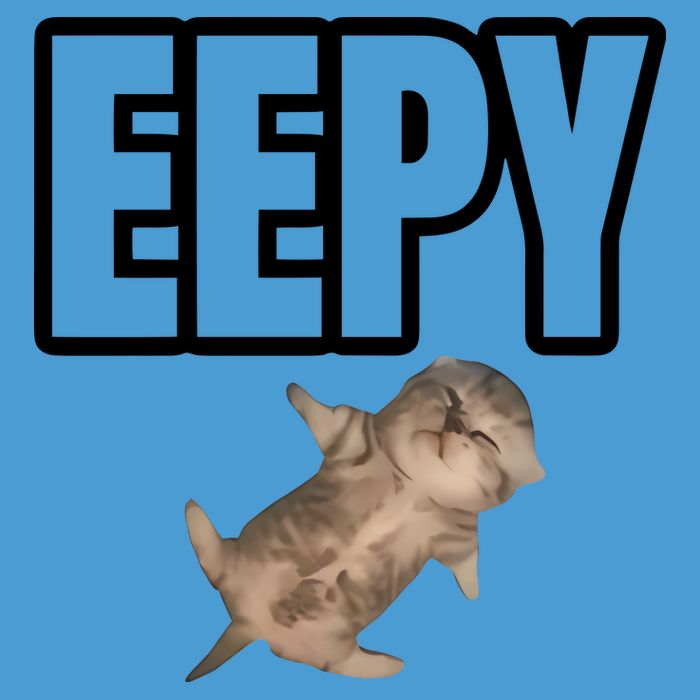 Sillystudio Eepy Cat Tie Dye Hoodie