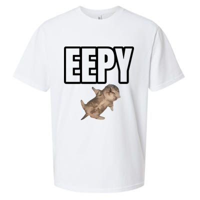 Sillystudio Eepy Cat Sueded Cloud Jersey T-Shirt