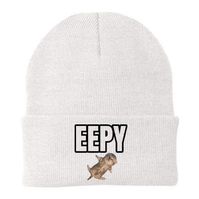 Sillystudio Eepy Cat Beanie