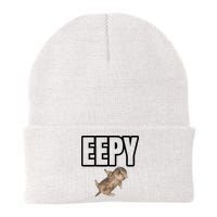 Sillystudio Eepy Cat Beanie