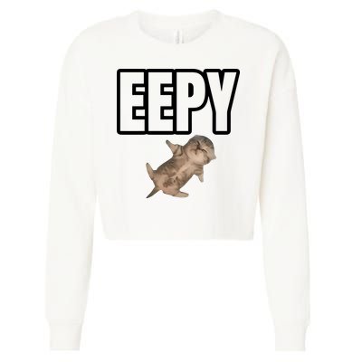 Sillystudio Eepy Cat Cropped Pullover Crew