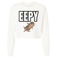Sillystudio Eepy Cat Cropped Pullover Crew