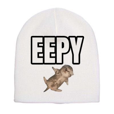 Sillystudio Eepy Cat Short Acrylic Beanie