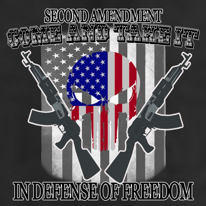 Second Amendment Come & Take It In Defense Of Freedom Tumbler