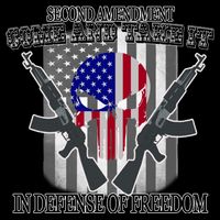 Second Amendment Come & Take It In Defense Of Freedom Wool Snapback Cap