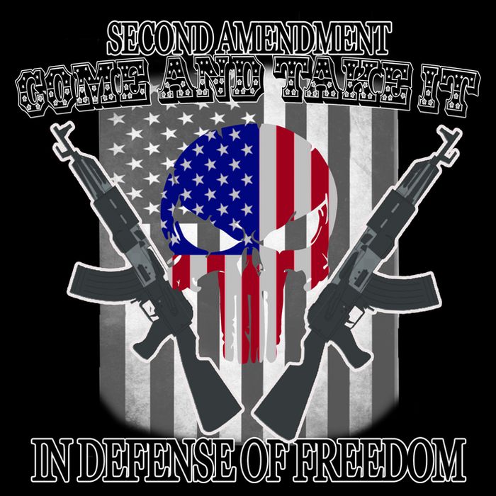 Second Amendment Come & Take It In Defense Of Freedom Wool Snapback Cap