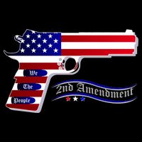 Second Amendment Support Hand Gun Visor