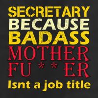 Secretary Badass Job Title Adult Drive Performance Visor
