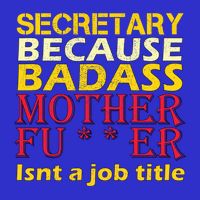 Secretary Badass Job Title T-Shirt