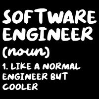 Software Engineer Definition Funny Engineering Flexfit Unipanel Trucker Cap