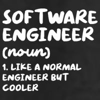 Software Engineer Definition Funny Engineering Trucker Hat