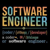 Software Engineer Definition Funny For Coders And Programmer Gift Wool Snapback Cap