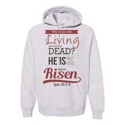 Seek Living Among Dead He Is Risen Jesus Premium Hoodie