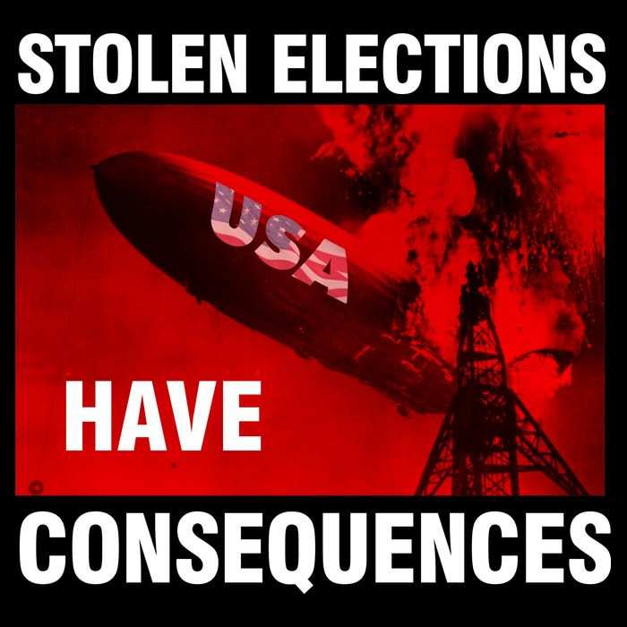 Stolen Elections Have Consequences Womens Tank Top