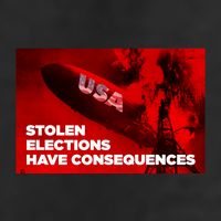 Stolen Elections Have Consequences Adult Drive Performance Visor