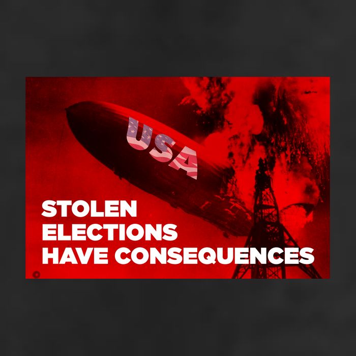 Stolen Elections Have Consequences Adult Drive Performance Visor