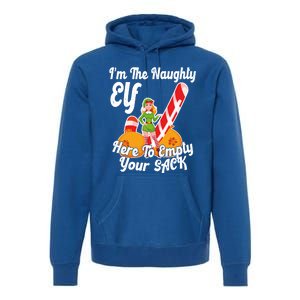 Sexy Elf Here Empty Your Sack Rude Naughty Christmas Candy Funny Gift Premium Hoodie