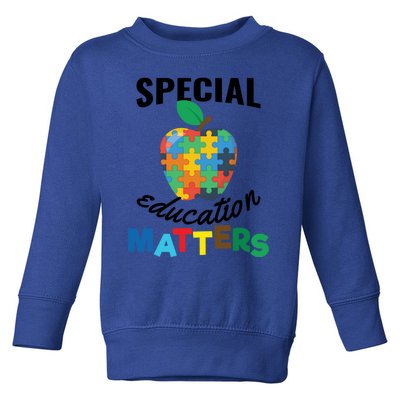 Special Education Matters Autism Awareness Gift Cute Gift Toddler Sweatshirt