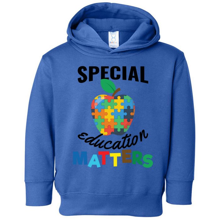 Special Education Matters Autism Awareness Gift Cute Gift Toddler Hoodie