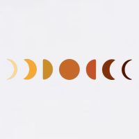 Solar Eclipse Moon Flatbill Hat