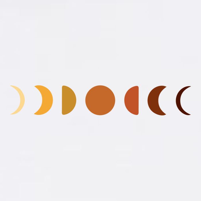 Solar Eclipse Moon Trucker Hat