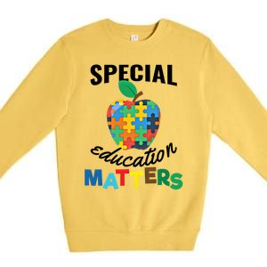 Special Education Matters Autism Awareness Gift Cool Gift Premium Crewneck Sweatshirt